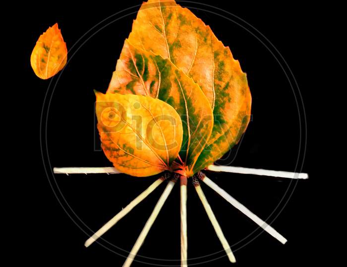 Creative using just matches and leaf