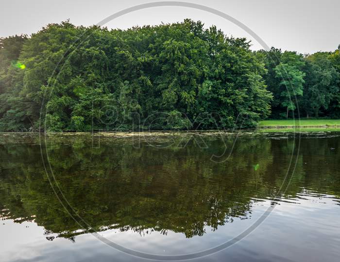 Water Pond In Haagse Bos, Forest In The Hague