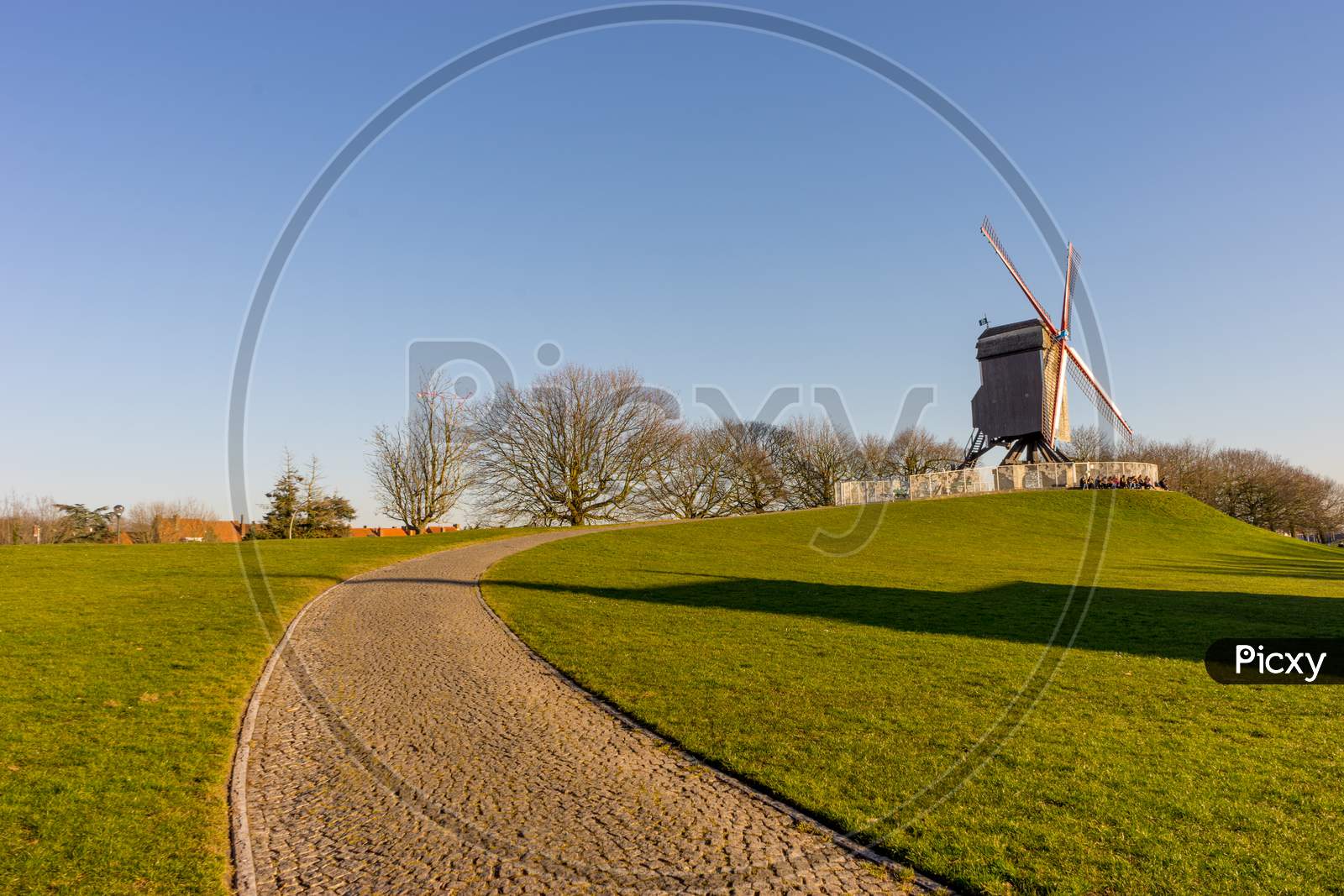 Belgium, Bruges, A Close Up Of A Lush Green Field With Path Leading To Windmill