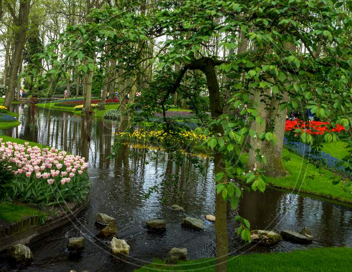 Lisse, Netherlands - 22 April: Water Pond At  Keukenhoff, Tulip Gardens