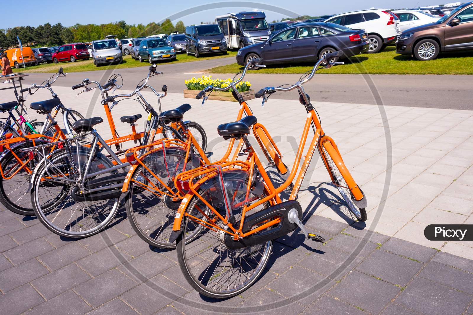 Lisse, Netherlands - 5 May 2018: Keukenhoff, The Bikes For Rent At Keukenhoff At Parking Lot