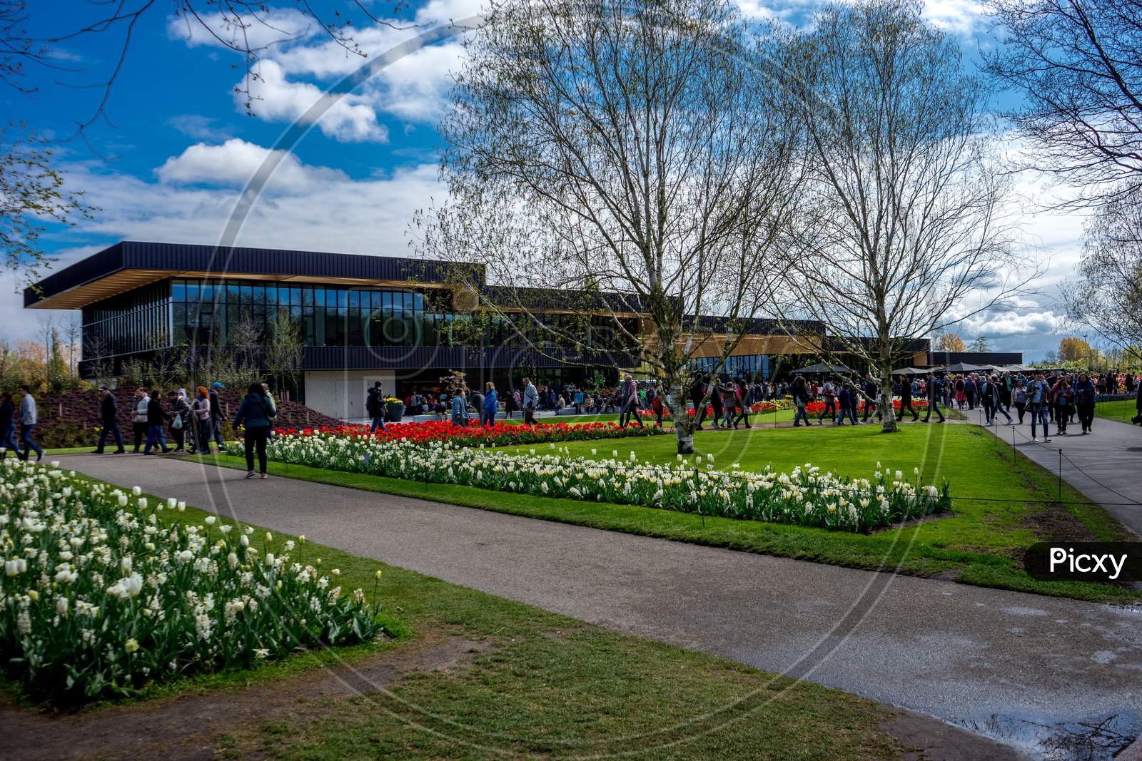 Keukenhof, Netherlands - April 23 : The Tulip Gardens April 23, 2017. Tourists Visit The Tulip Gardens.