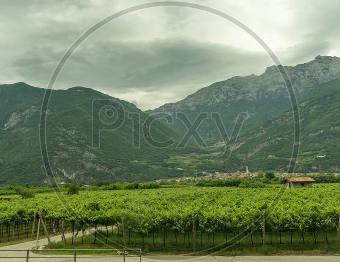 Italy,La Spezia To Kasltelruth Train, A Close Up Of A Green Field With A Mountain In The Background