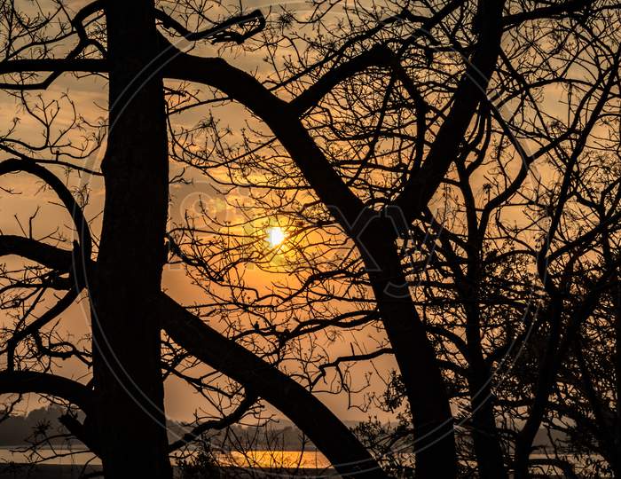 Sunset Orange Sky With Tree Shadow At Dusk