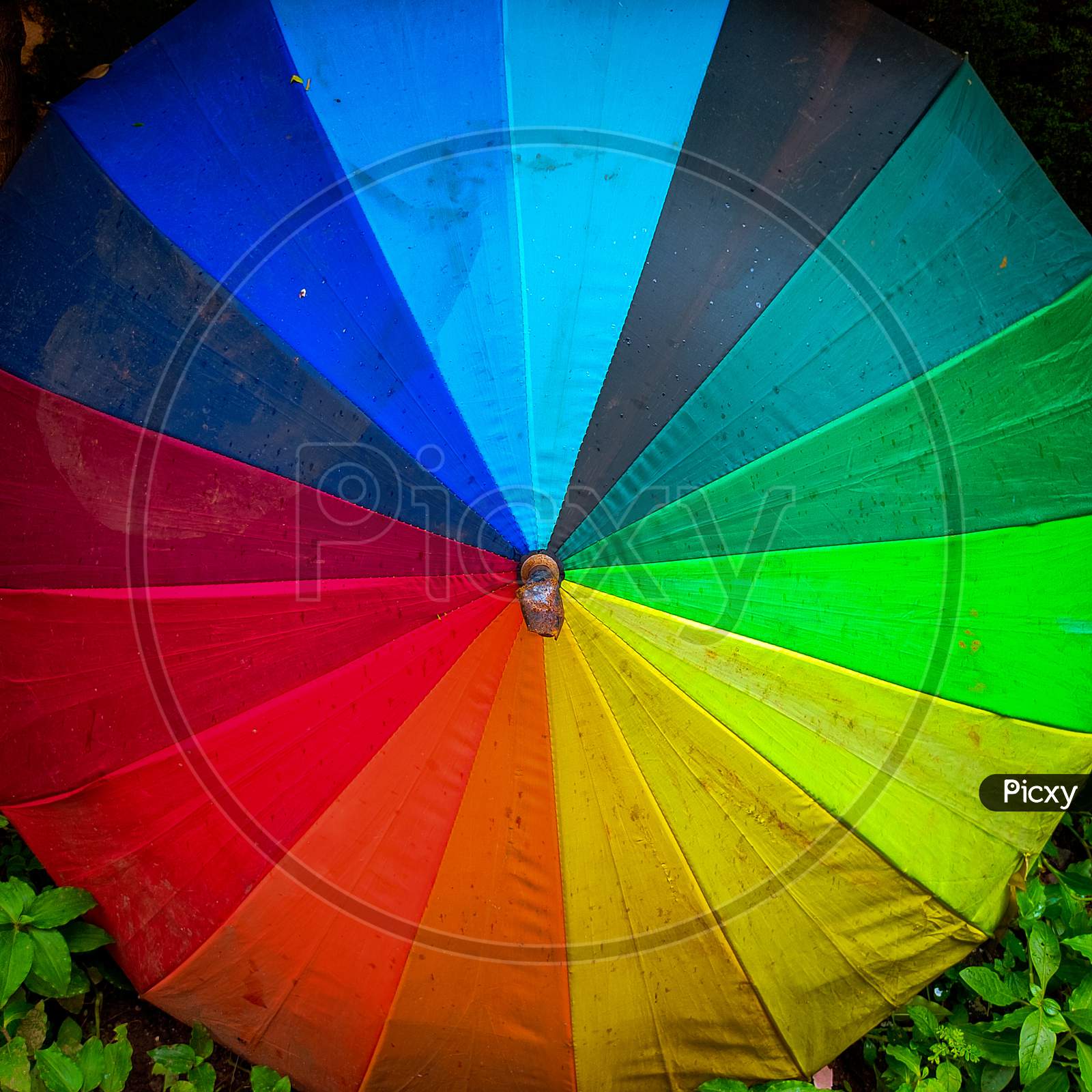Colourful Umbrella