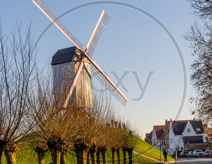 Belgium, Bruges, A Field Of Grass Near A Windmill