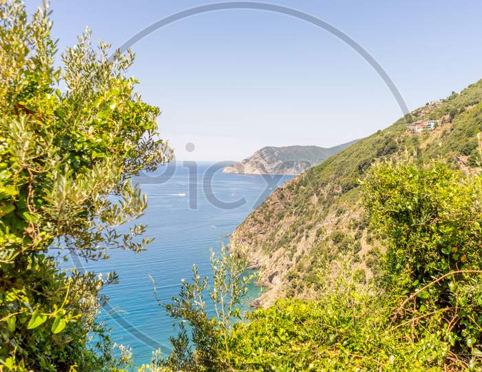 Italy, Cinque Terre, Corniglia, A Body Of Water Surrounded By Trees