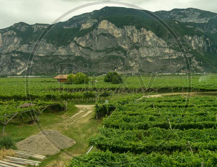 Italy,La Spezia To Kasltelruth Train, A Field With A Mountain In The Background