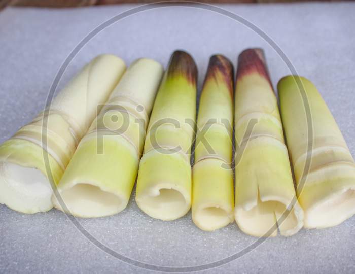 Bamboo shoots Peeled delicious food set on white background