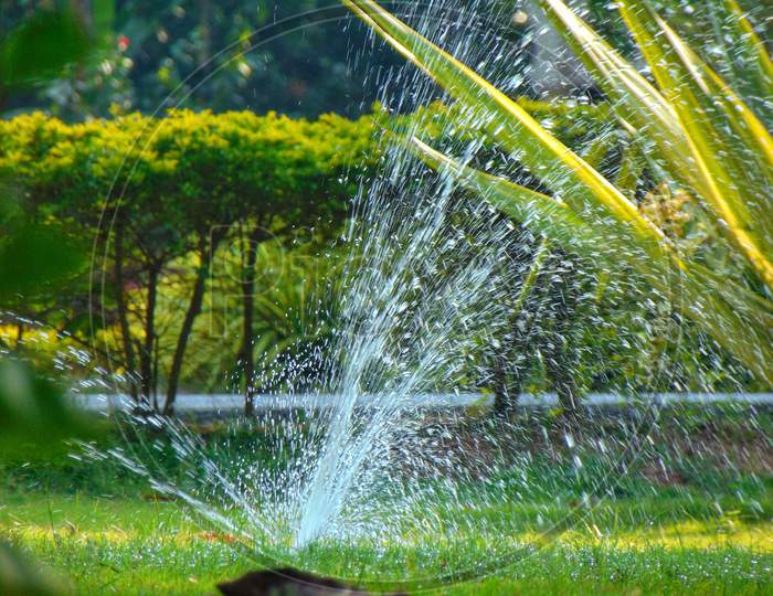 Water sprinkler at garden