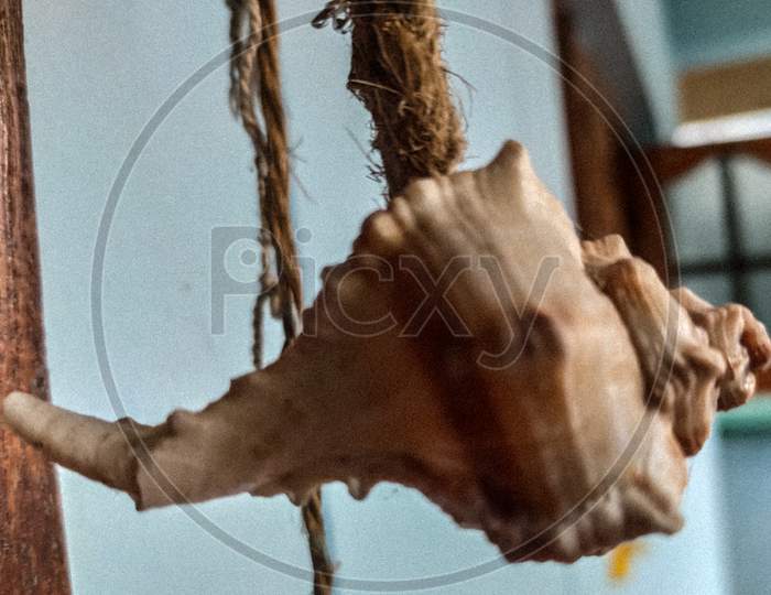 Hanging shell
