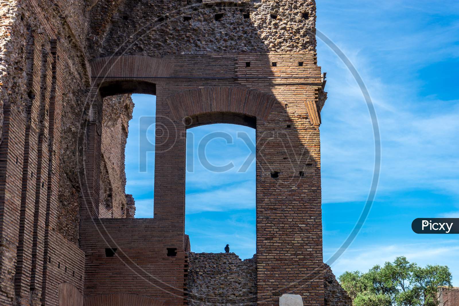 The Ancient Ruins At The Roman Forum, Palatine Hill In Rome