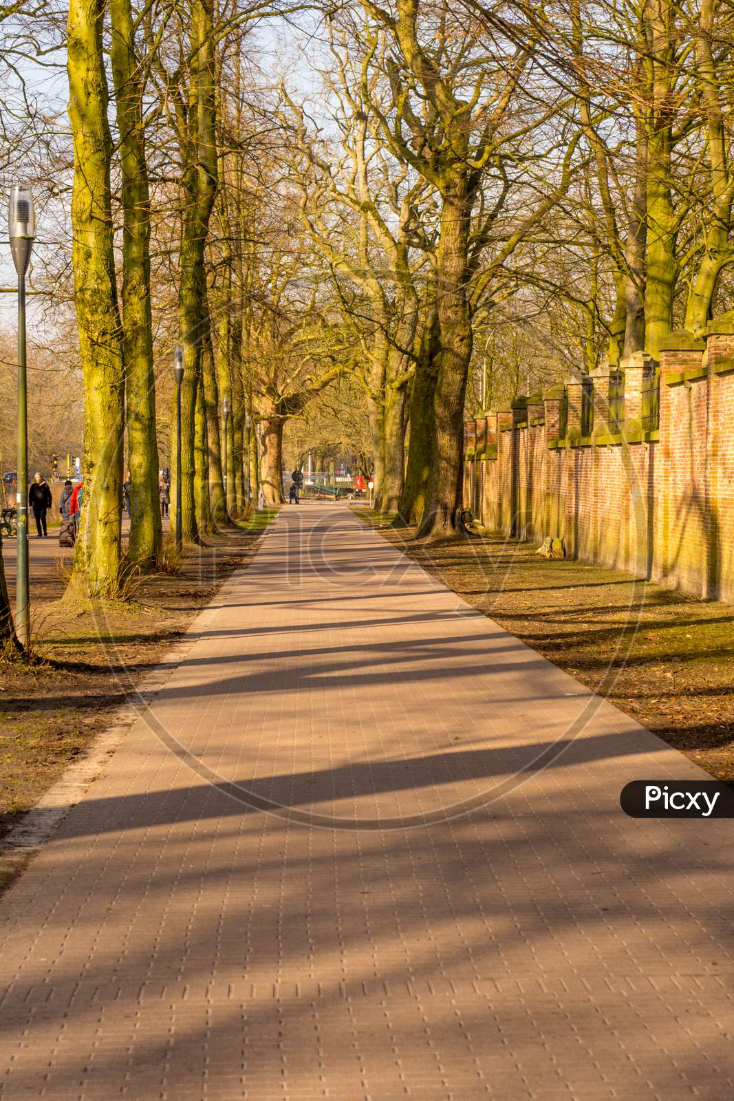 Belgium, Bruges, A Path With Trees On The Side Of A Fence