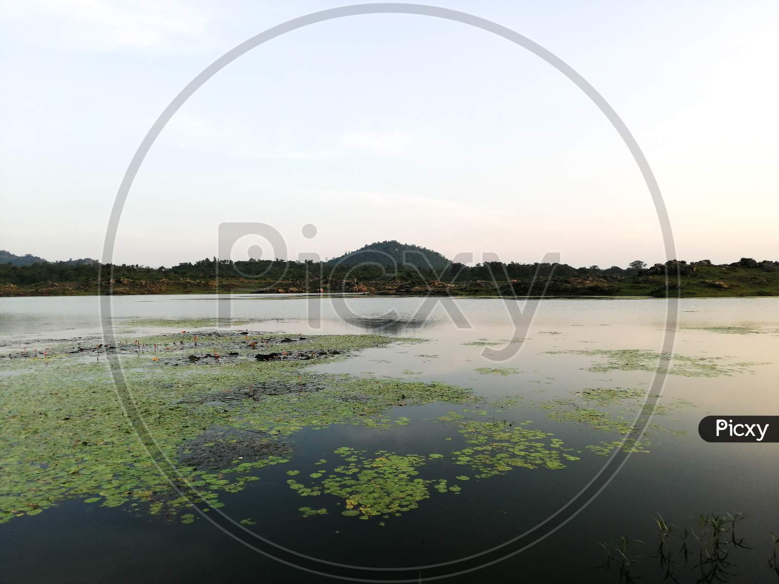 Landscape ok forest with lake, river, sunset, evening