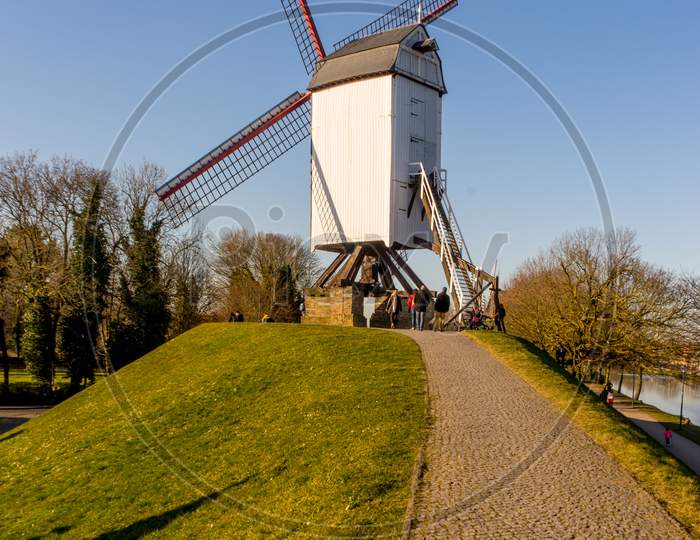 Belgium, Bruges, A Close Up Of A Path Leading To A Windmill