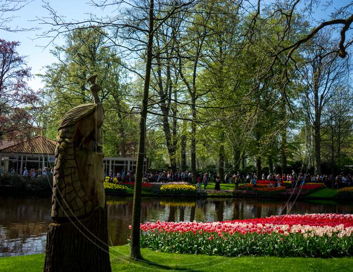 Lisse, Netherlands - 22 April: Peacock Carving At  Keukenhoff, Tulip Gardens