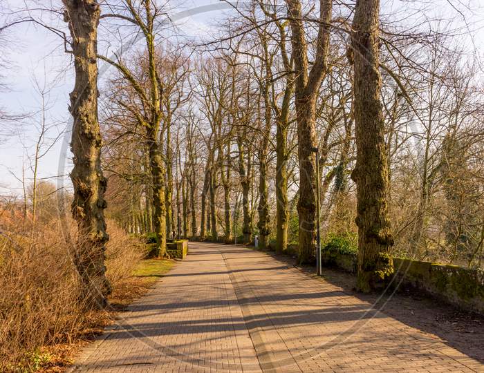 Belgium, Bruges, Walking Path In A Garden