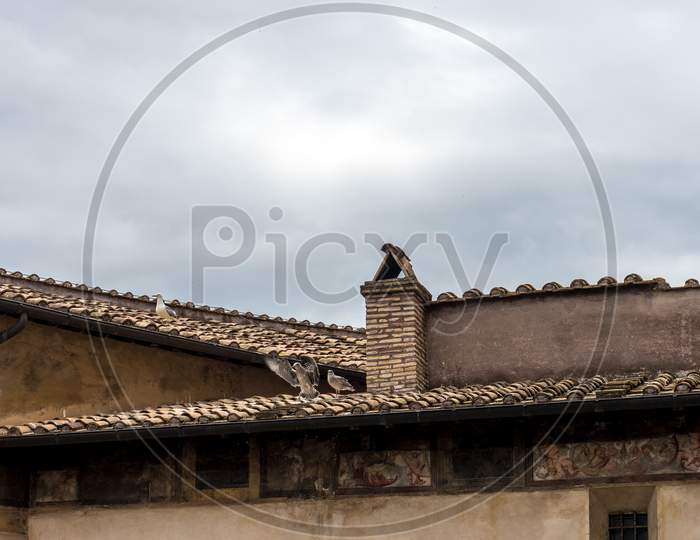 Birds On A Sloping Roof
