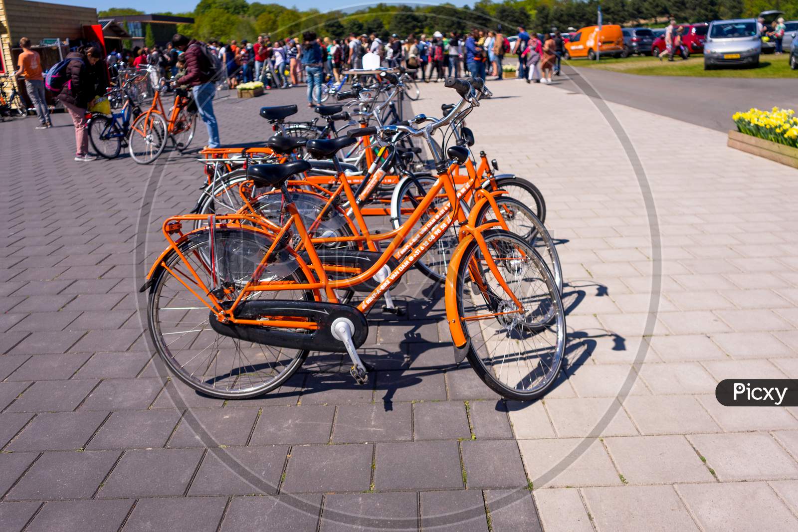 Lisse, Netherlands - 5 May 2018: Keukenhoff, The Bikes For Rent At Keukenhoff At Parking Lot