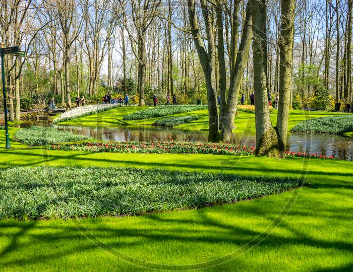Green Grass In The Keukenhof Gardens At Lisse, Netherlands, Europe