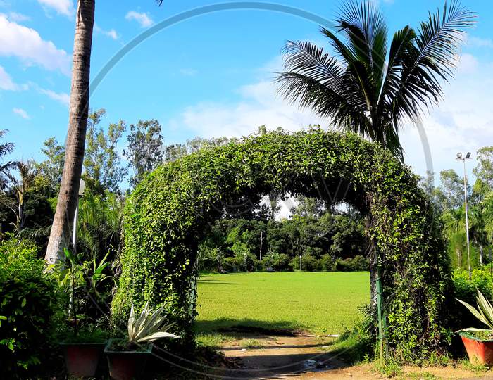 ering gate of park made up of green leaves looking beautiful in nature and in form of background.