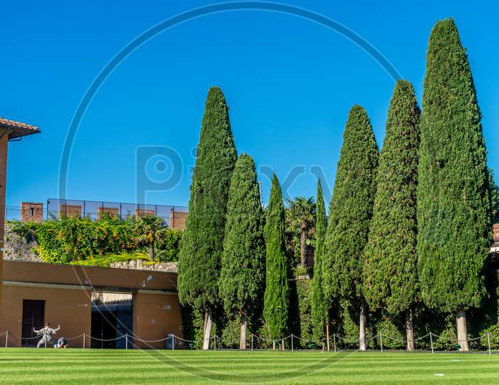 Italy,Pisa, A Group Of People In A Garden