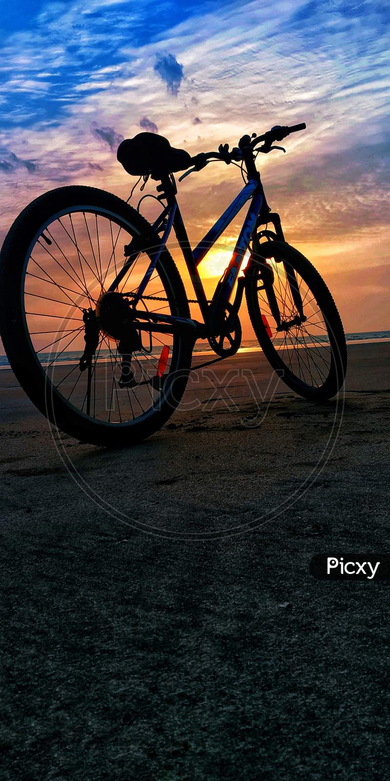 beautiful evening with Bicycle