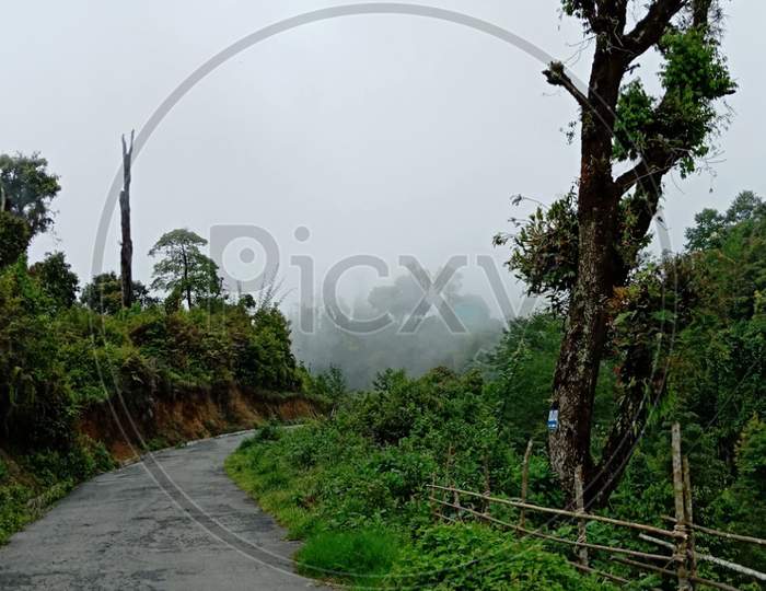 Beautiful and Scenic Roads in towards the Hilly jungle