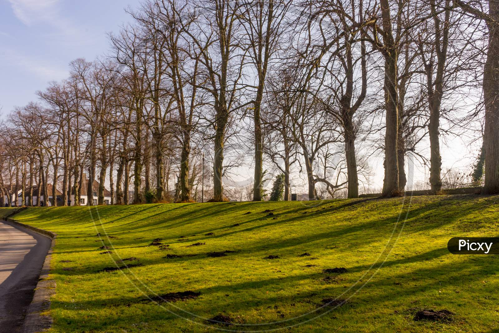Belgium, Bruges, Lush Green Lawn