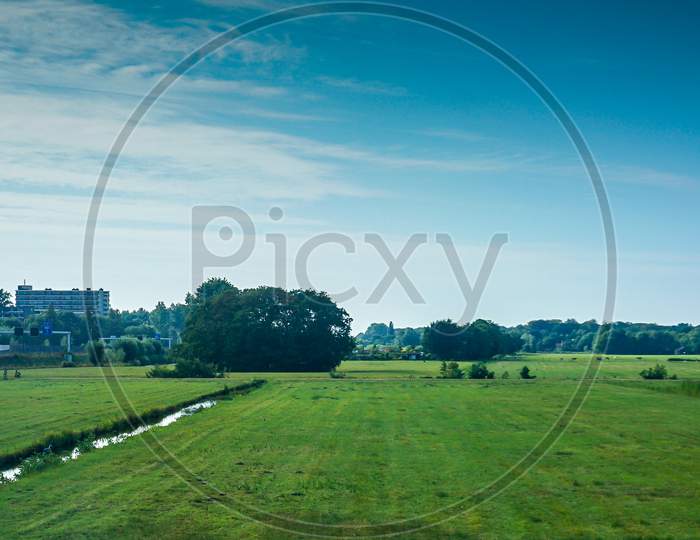 Netherlands, South Holland,A View Of A Lush Green Field