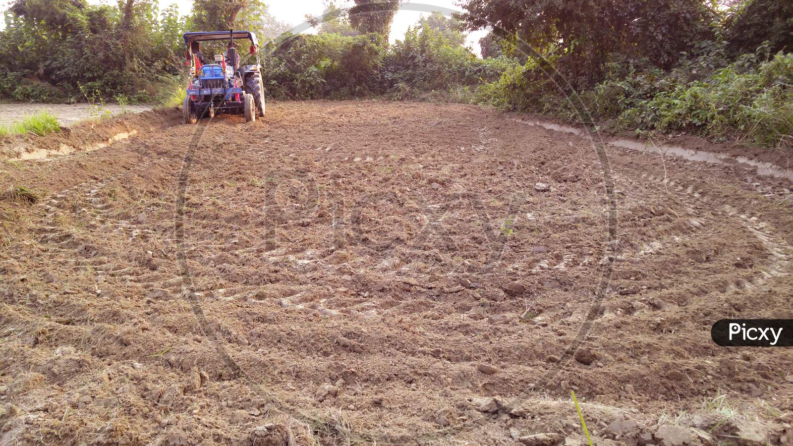 Agriculture in India tractor working in the form