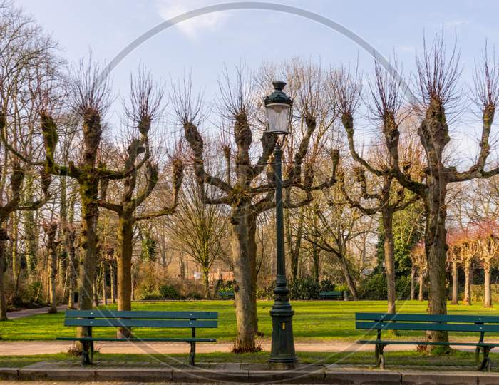 Belgium, Bruges, A Bench In A Park