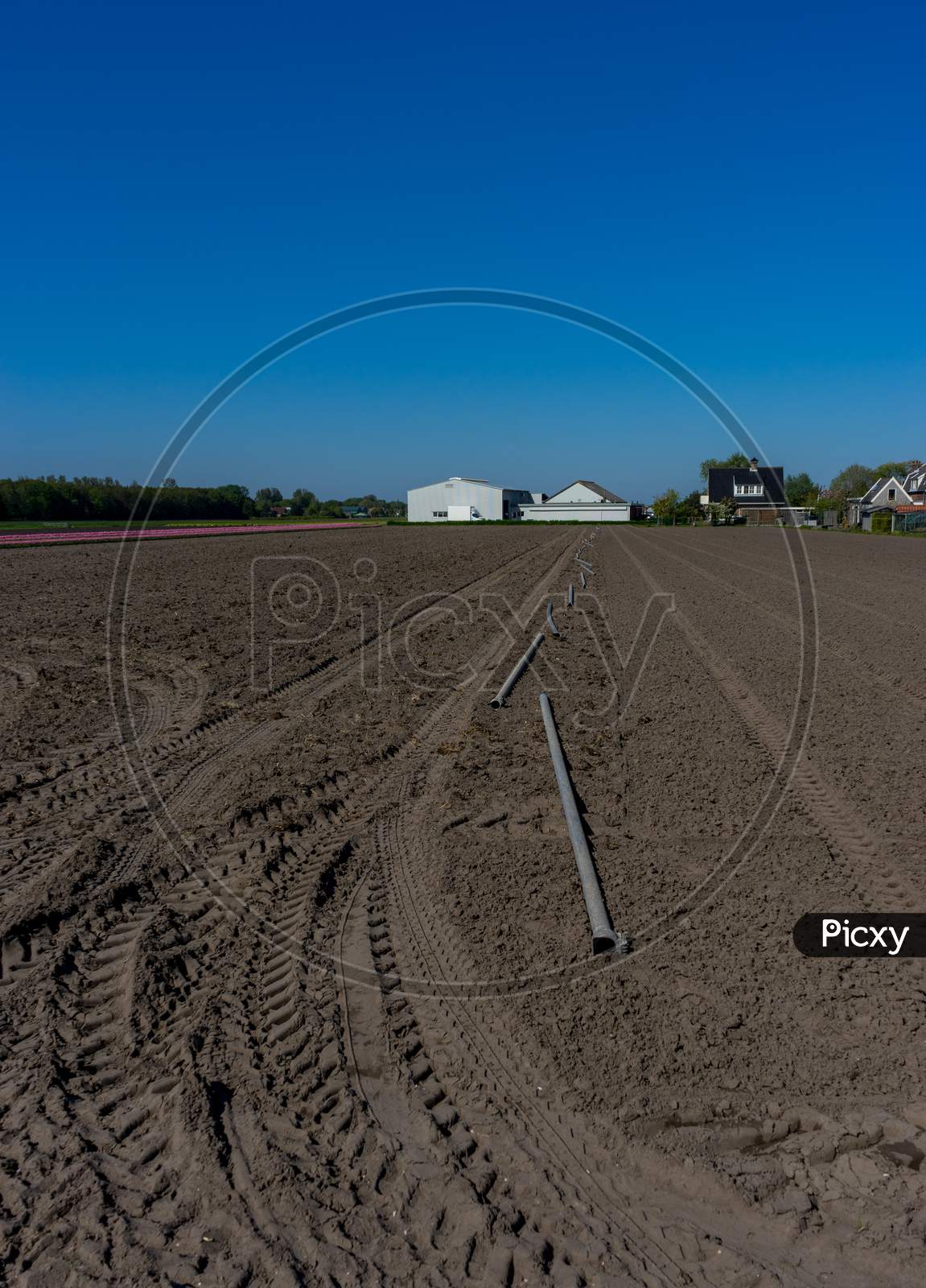 Lisse, Netherlands - 5 May 2018:  Tractor Tyre  Marks On A Tulip Field