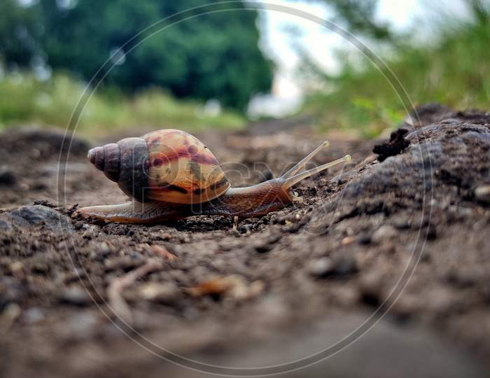 It Doesn't Matter how Slow you go, as long as you Don't Stop..🐌