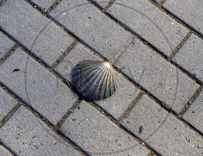 Belgium, Bruges, A Oyster Standing On A Sidewalk