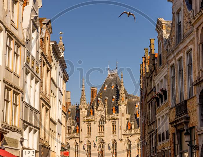 Bruges, Belgium - 17 February 2018: A Bird Flies Over The Palace In Bruges