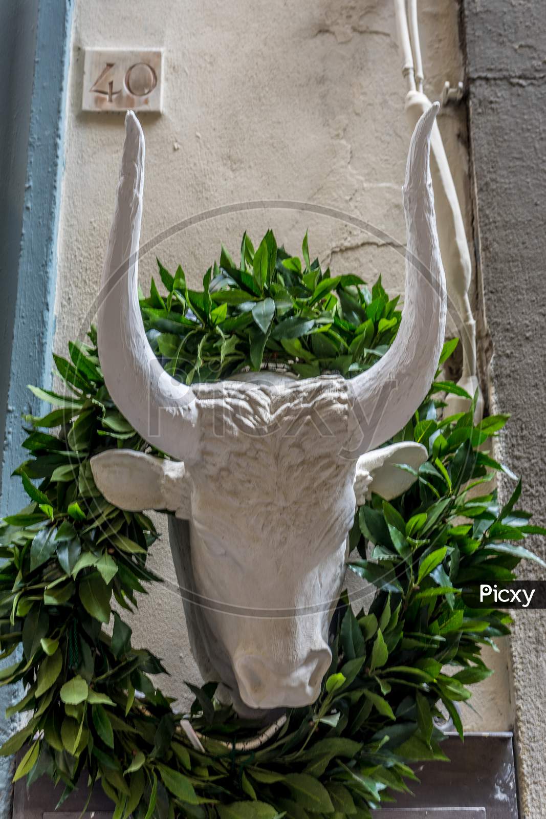 Italy,Florence, A Close Up Of A Flower Pot