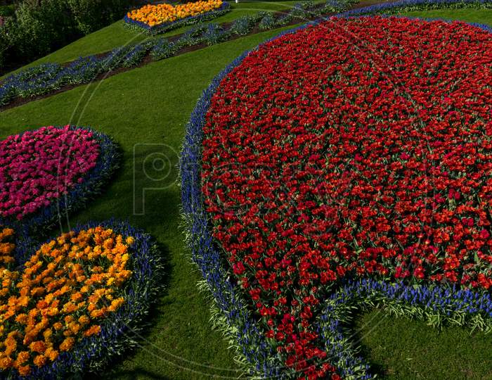 Netherlands,Lisse, Decoration Of Colourful Flowers