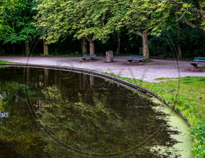 Wooden Bench Overlooking A Water Pond At Haagse Bos, Forest In The Hague
