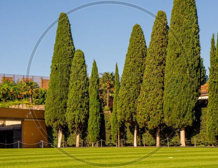 Italy,Pisa, A Large Green Field With Trees In The Background