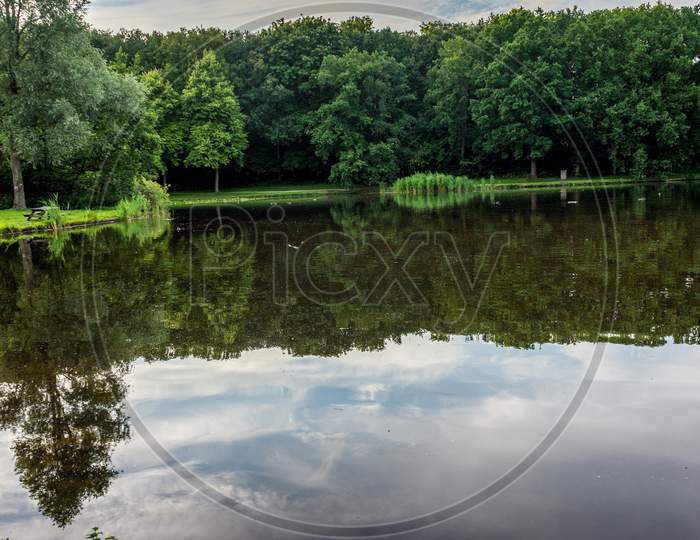 A Water Pond At Haagse Bos, Forest In The Hague