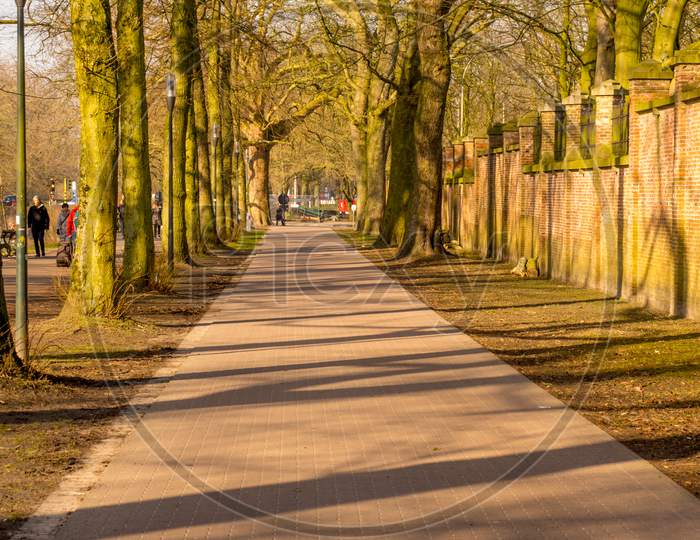 Belgium, Bruges, A Path With Trees On The Side Of A Fence