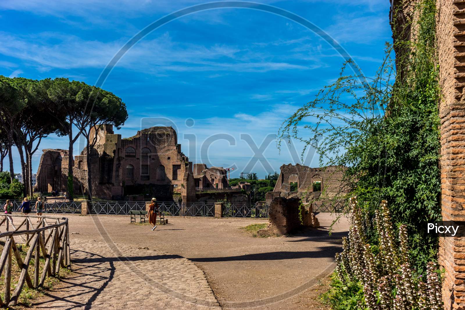 Rome, Italy - 24 June 2018: The Ancient Ruins At The Roman Forum In Rome. Famous World Landmark