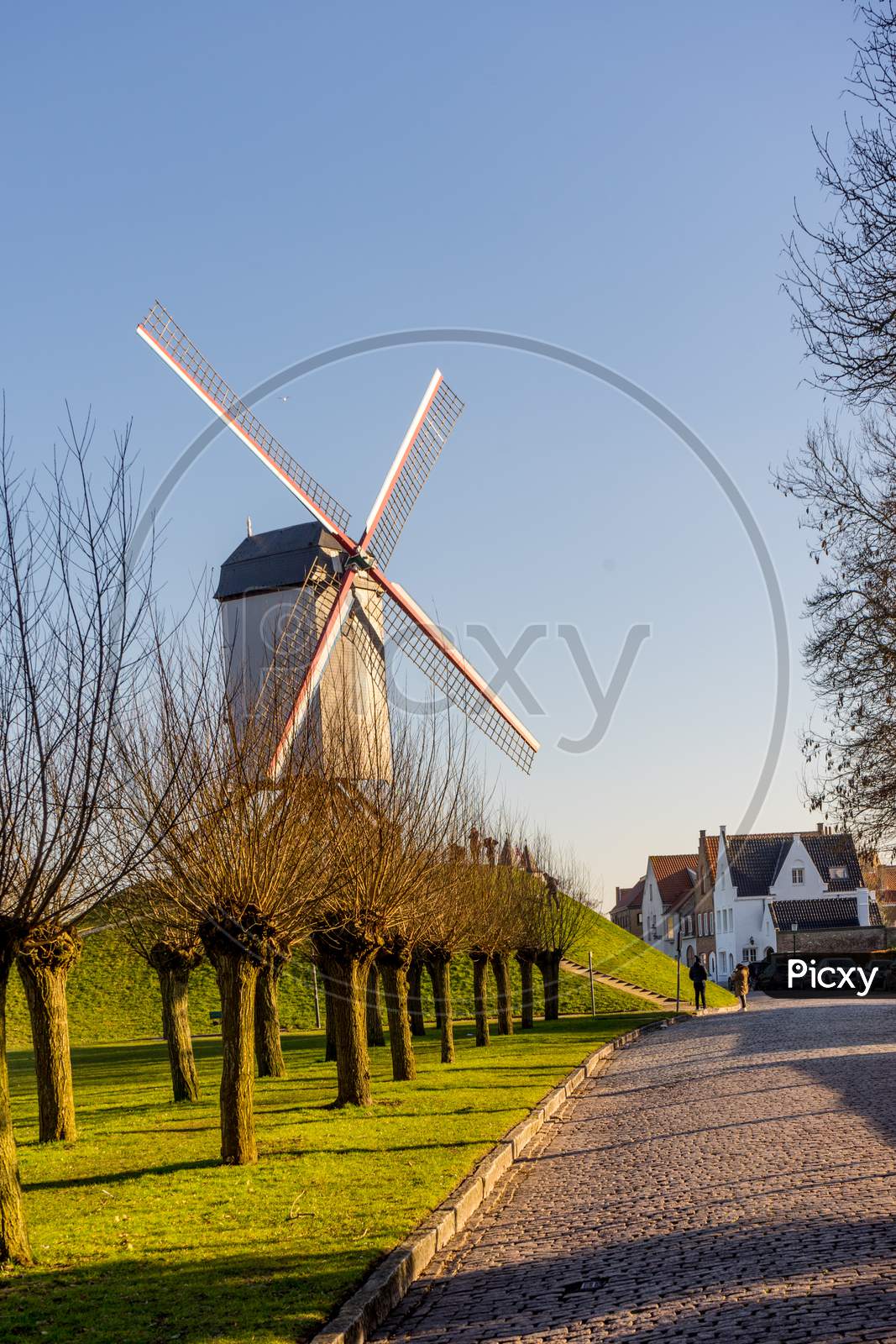 Belgium, Bruges, A Field Of Grass Near A Windmill
