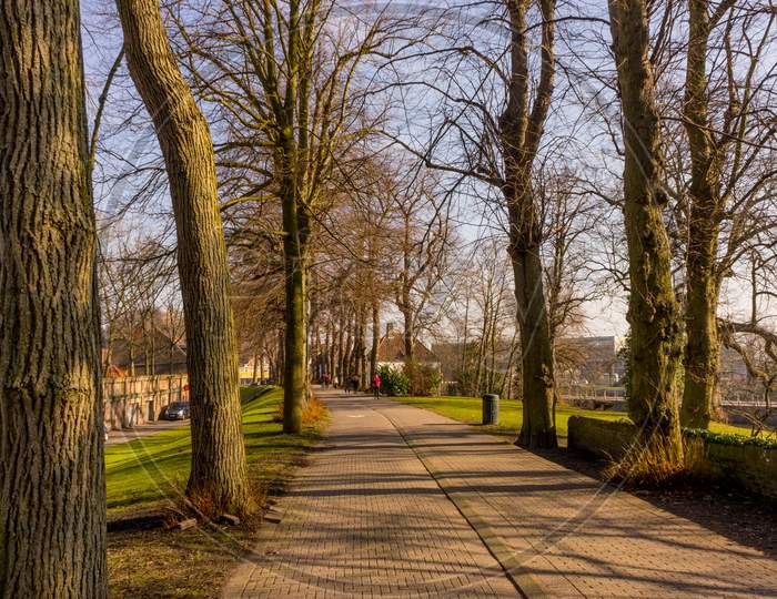 Belgium, Bruges, Walking Path Between Trees