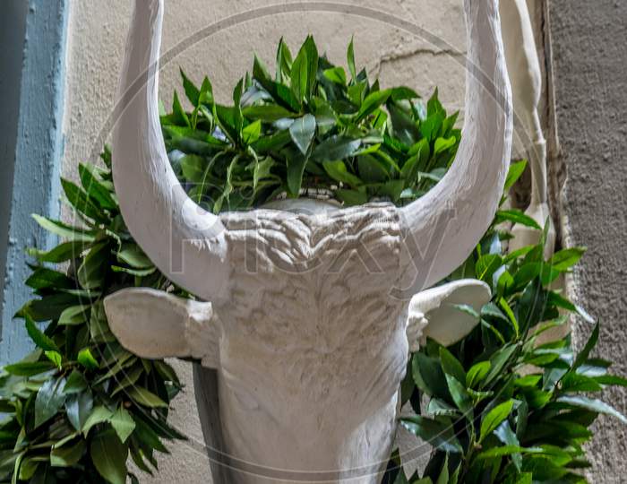 Italy,Florence, A Close Up Of A Flower Pot