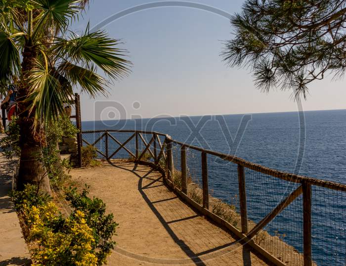 Italy, Cinque Terre, Manarola, A Beach With Palm Trees And A Body Of Water