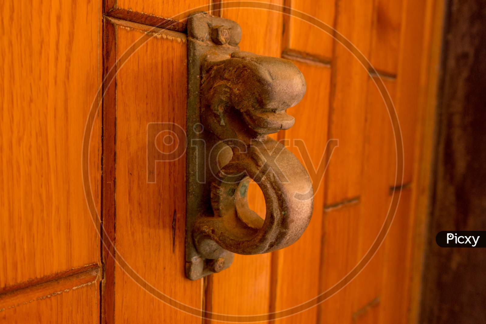 Italy, Cinque Terre, Vernazza, Close-Up Of Door Knocker