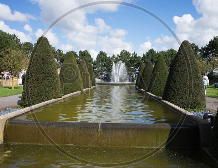 Cone Tree And A Water Pond With Fountain In A Garden In Lisse, Netherlands, Europe