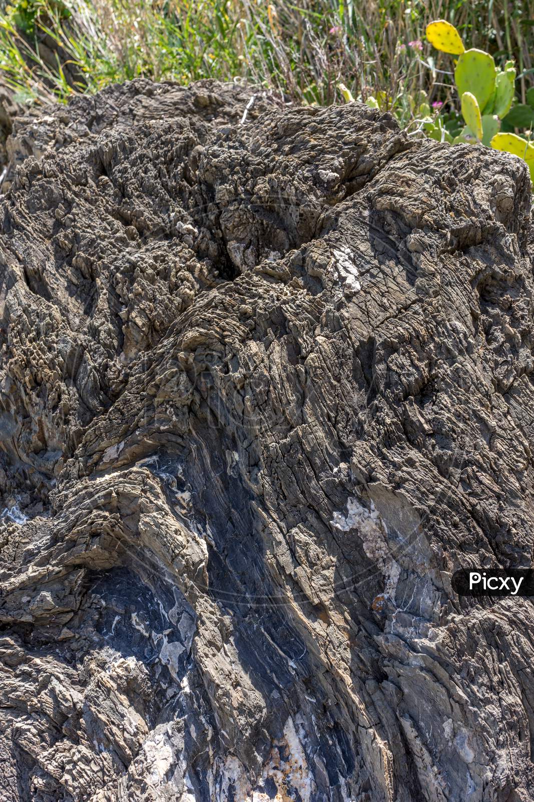 Italy, Cinque Terre, Manarola, Close-Up Of Rock Formations